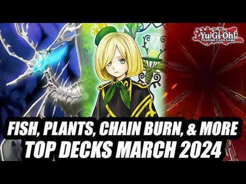 Fish, Plants, Chain Burn, & More! Yu-Gi-Oh! Top Decks March 2024 смотреть онлайн