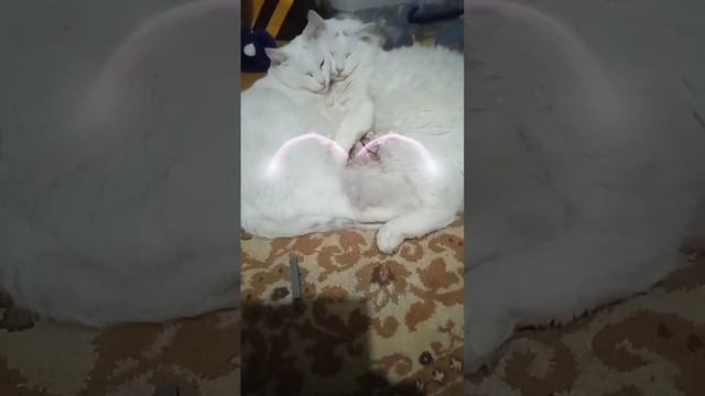 Это любовь смотреть онлайн