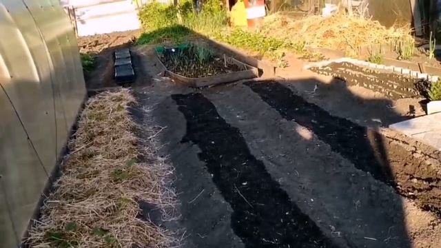 Огород Сибирь и Огород Кубань сравнение ... смотреть онлайн