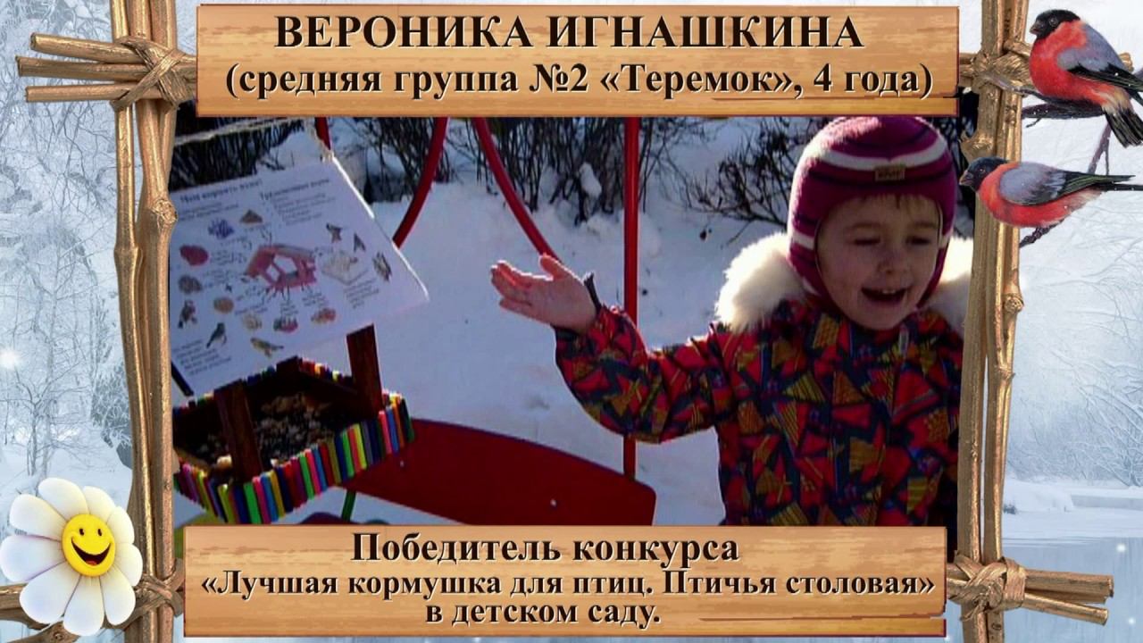 Птичья столовая смотреть онлайн