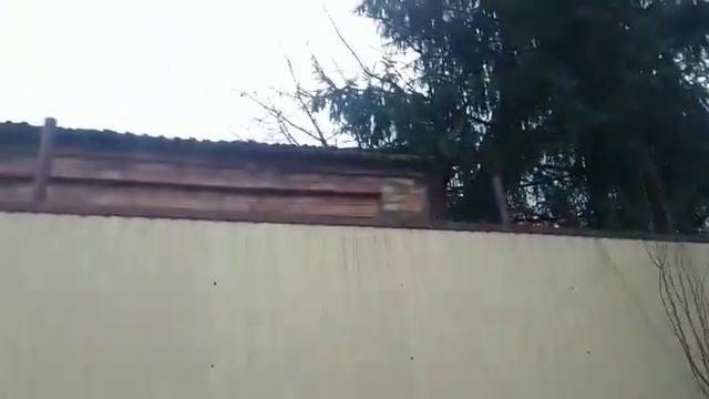 Вора загнали в угол. Смотреть всем) смотреть онлайн