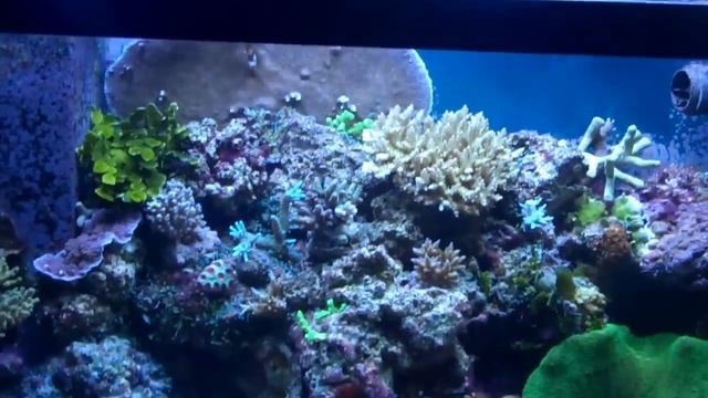 58 gal смотреть онлайн