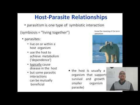 Host-Parasite Interactions (2nd Sem, M.Sc Zoology - Entomology & Parasitology) смотреть онлайн