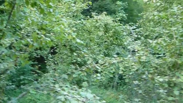 Курятник своими руками / Выбор места // Жизнь в деревне смотреть онлайн