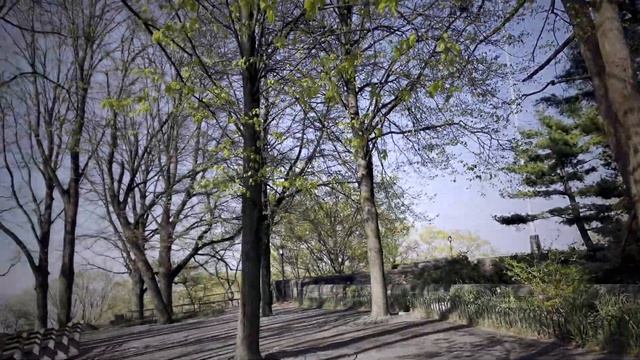 Лучшие города для переезда в 2024 году смотреть онлайн