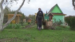 6 соток в конце сентября 2019 года