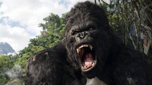 Борьба кинконга  с ящуром.