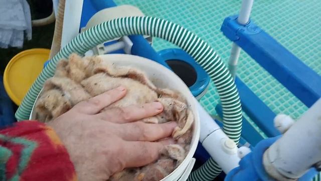 Чистота! смотреть онлайн