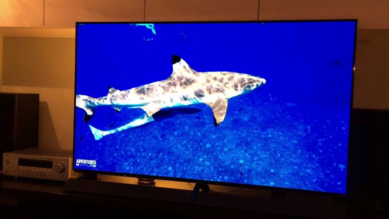 Biggest Panasonic TV - TX-65EZ1000 4K OLED TV - 4K resolution picture смотреть онлайн