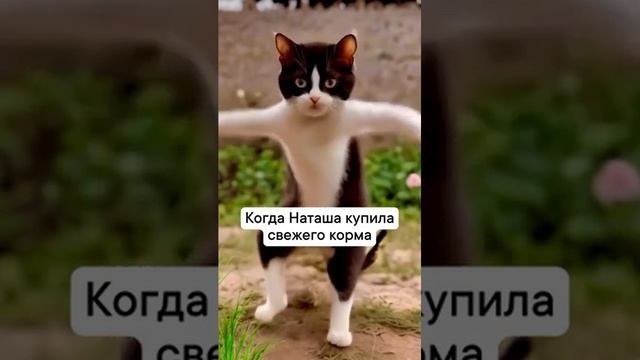 Доброе утро от⚓️-⚓️#музыка #shorts смотреть онлайн