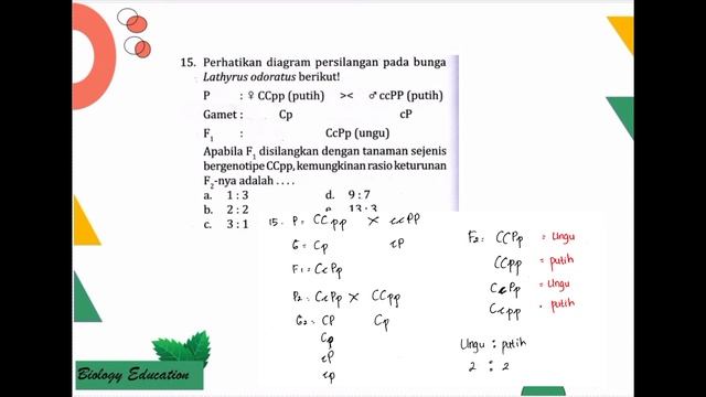PEMBAHASAN SOAL INTAN PARIWARA BIOLOGI KELAS 12 BAB PEWARISAN SIFAT PADA HUKUM MENDEL PH PART 2 смотреть онлайн