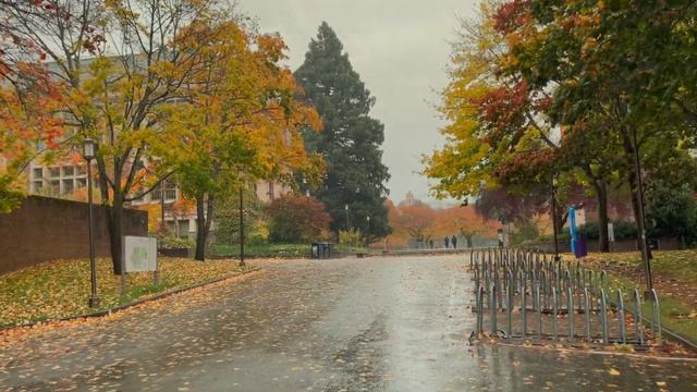 Fall Rain Walk, University Of Washington (4k, binaural audio) смотреть онлайн