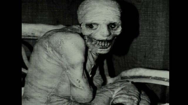 SCP 957 'Наживка