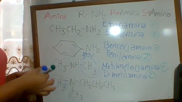 Amina смотреть онлайн