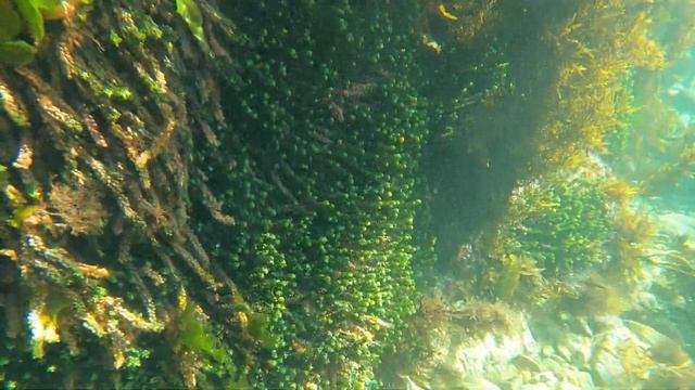 Caustics смотреть онлайн