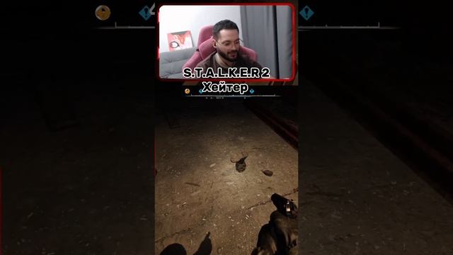 Нашел хейтера в stalker 2 смотреть онлайн