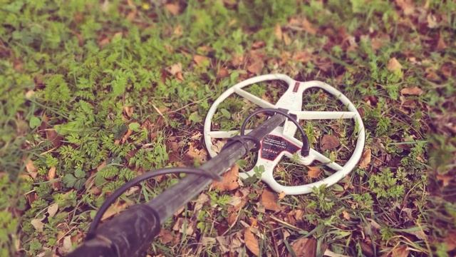 Big Upgrade!! Back on the Hammered! |New Detech 13" #metaldetectinguk #Noktamakro #simplex #upgrade смотреть онлайн
