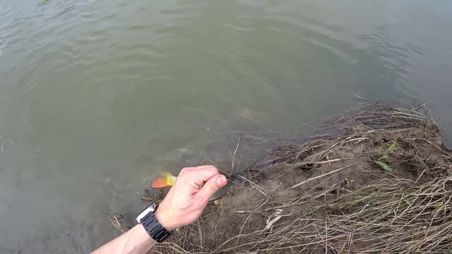 Охота с Рогаткой SLINGSHOT FISHING