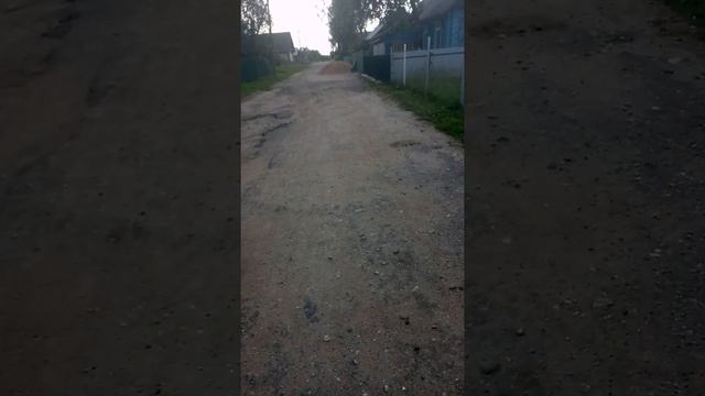 Деревня ВОЛЧА Витебская область смотреть онлайн