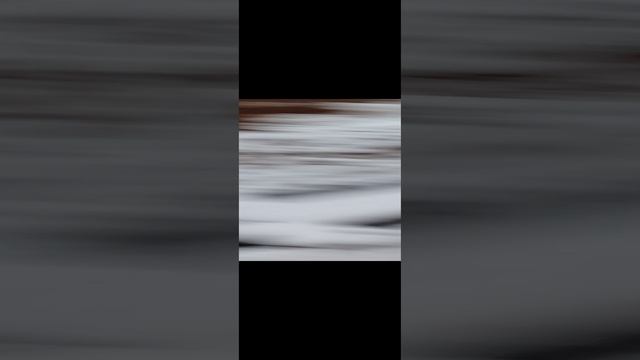 Рабочие будни.