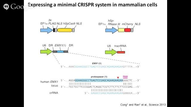 CRISPR Cas Technology And Its Applications