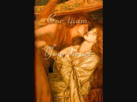 See My Heart - (Vide Cor Meum) Lyrics смотреть онлайн