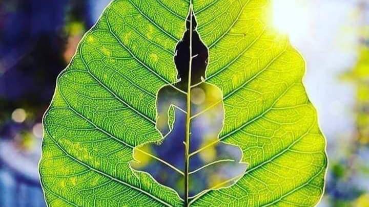 Клип Срединный путь смотреть онлайн