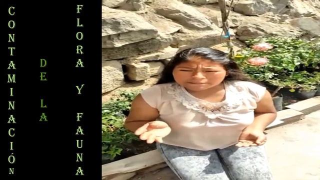 CONTAMINACIÓN AMBIENTAL- UCV смотреть онлайн