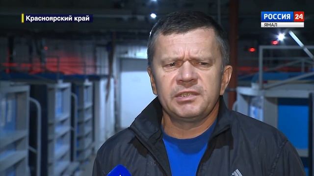 В Енисей выпустили мальков краснокнижного осетра смотреть онлайн