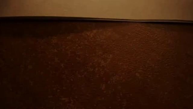 Huge Spider Inclusion Inside Baltic Amber смотреть онлайн