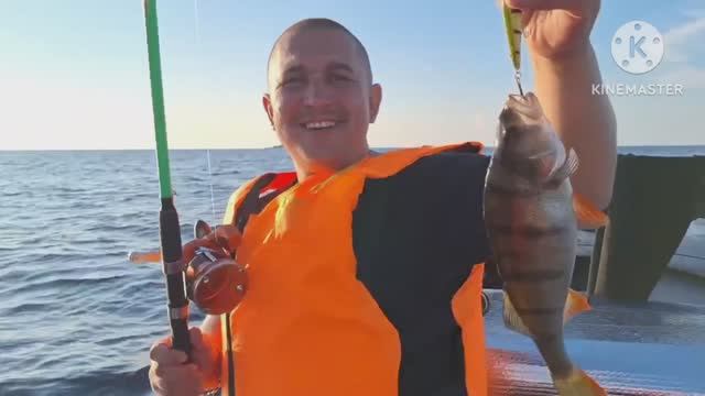 Ладога  Маяк СУХО 2024