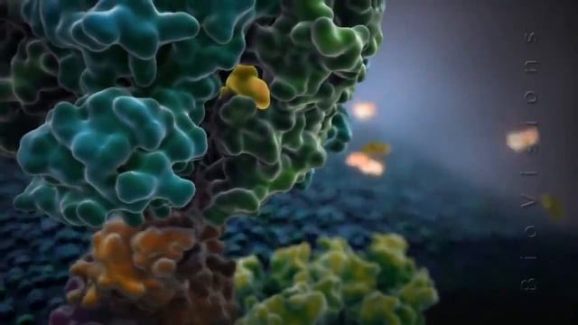 Mitochondrial ATP Synthase - Random Process смотреть онлайн