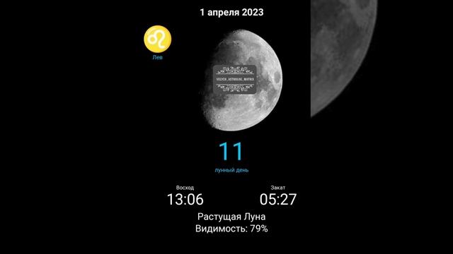1 апреля Растущая Луна во Льве ♌ смотреть онлайн