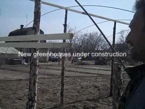 Kiva Journal for Vladimir Alekyan from Ukraine смотреть онлайн