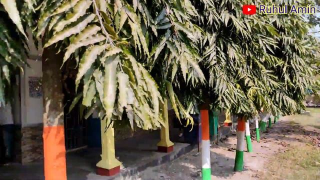 B.N. College Dhubri... College Campus Tour... Ruhul Amin смотреть онлайн