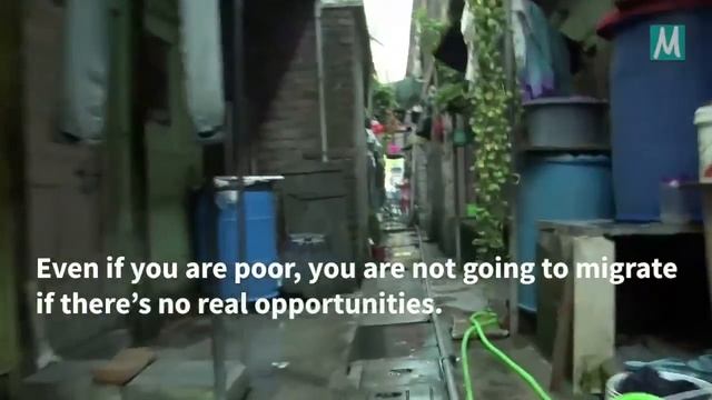 How much does global inequality drive migration? смотреть онлайн