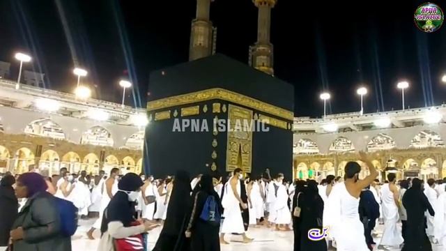 New Naat Sharif 2023 | Aamina Jab Se Teri God Me Lal Aaya Hai | Ruhulamin | Apna Islamic смотреть онлайн