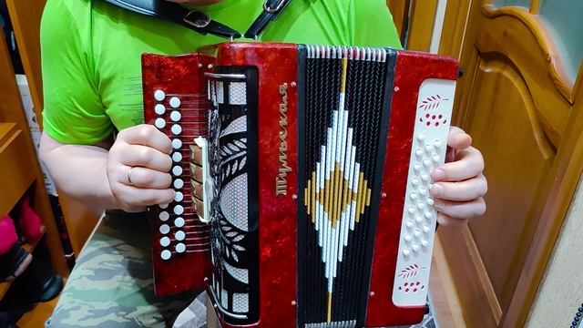 Красивые наигрыши на гармони как быстро научиться играть на гармони 3 аккорда 300 песен урок смотреть онлайн