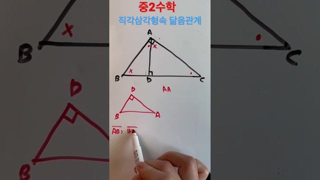 중2수학 직각삼각형속 닮음관계 식유도하기 #AA닮음 смотреть онлайн