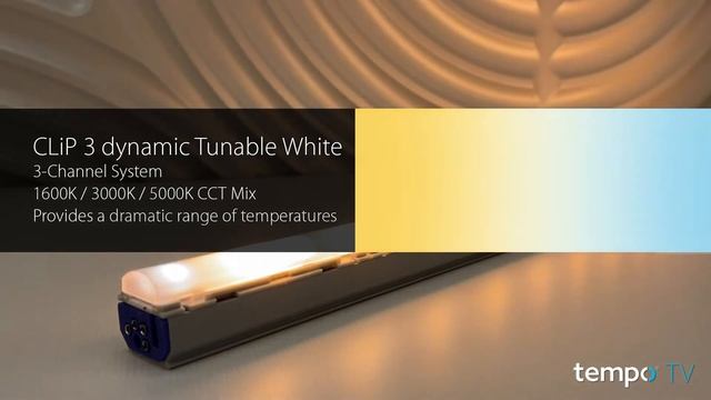 Tempo's CLiP 3 dynamic Expands the Possibilities of Accent Lighting смотреть онлайн
