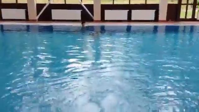 Лизин заплыв 2 смотреть онлайн