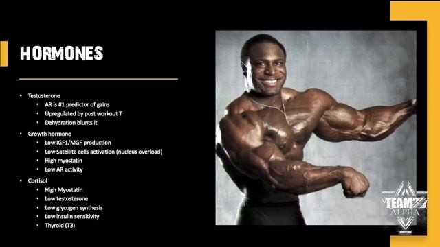 WATER IS ANABOLIC ??!! 10 SCIENTIFIC PROOFS THAT WATER IS THE KEY TO MUSCLE GROWTH !!! смотреть онлайн