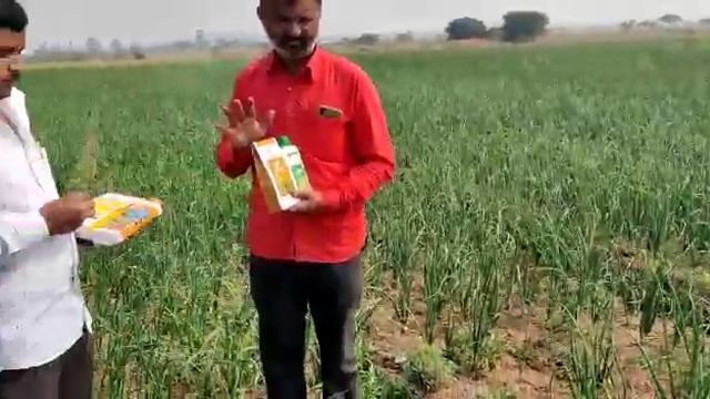 Vestige Agri 82 ph menten liquid results onions farms 7057632757 смотреть онлайн