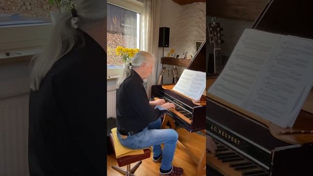 VViv (nach Hanon 29-30) Ausschnitt m108 20240626 rhythmisiert & halbes Tempo - Cembalo смотреть онлайн