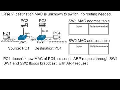 Switch OSI Layer 2 device explained смотреть онлайн