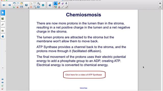Photosynthesis Pt 2 смотреть онлайн
