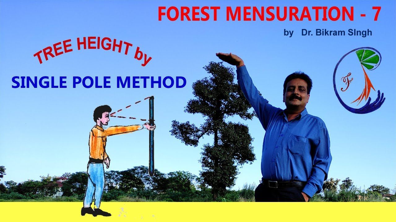 Forest Mensuration / Biometry : 7 Single Pole Method for tree height measurement by Dr Bikram Singh смотреть онлайн