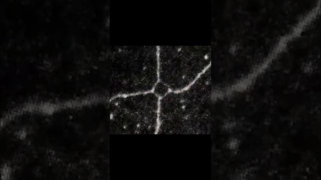 electron microscope of recombination смотреть онлайн