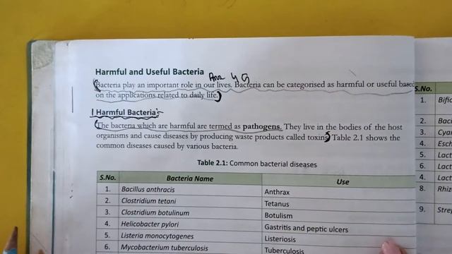 7th Grade | Biology | Chapter 2 | AV Assignment 6 | 5th July 2021 смотреть онлайн