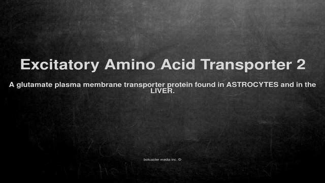 Medical vocabulary: What does Excitatory Amino Acid Transporter 2 mean смотреть онлайн